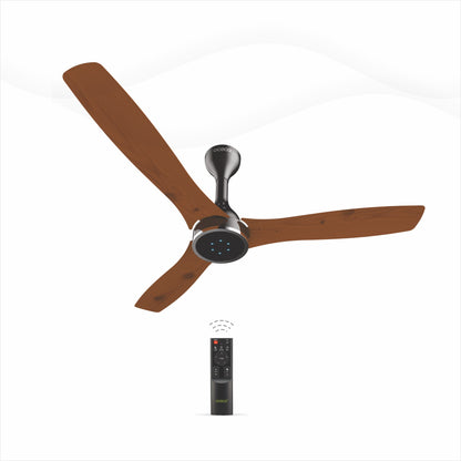 Fansio Plus