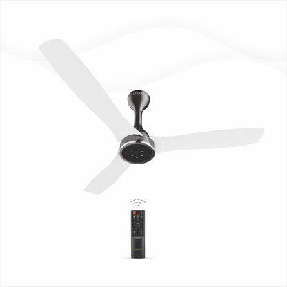 Fansio Plus