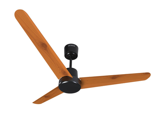 FANSIO EV MILD