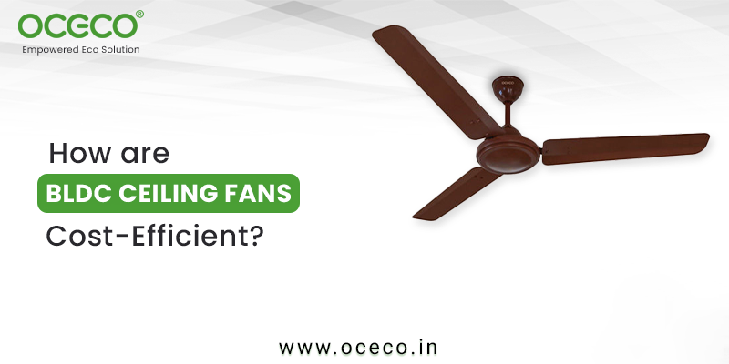 How are BLDC Ceiling Fans Cost-Efficient?